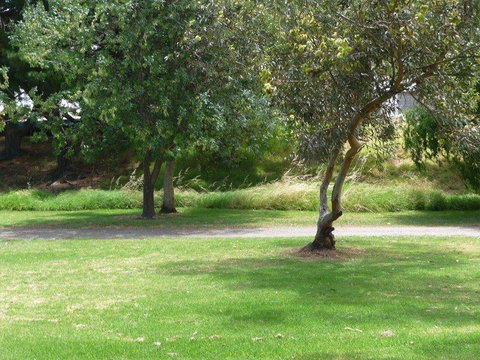 Victor Harbor Holiday Park - Stayed 24