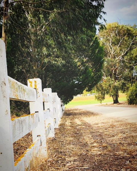 The Lake House Retreat - Stayed 28