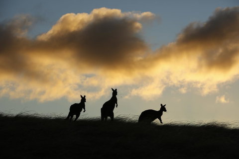 Sky House Kangaroo Island - Stayed 37