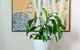 Port Adelaide Executive Waterfront Apartment - thumb 15