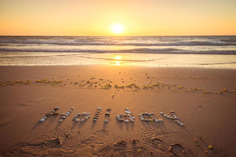 Beachside Luxury Apartments One & Two Bedroom In Beachfront Oaks Pier Building - Stayed 29