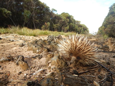 Kangaroo Island Wilderness Retreat - Stayed 20