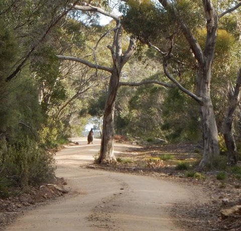 Kangaroo Island Wilderness Retreat - Stayed 22