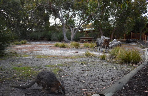 Kangaroo Island Wilderness Retreat - Stayed 1