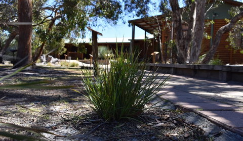 Kangaroo Island Wilderness Retreat - Stayed 21