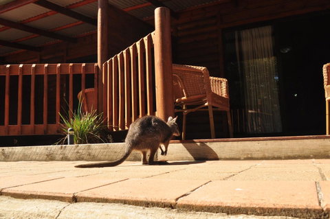 Kangaroo Island Wilderness Retreat - Stayed 9