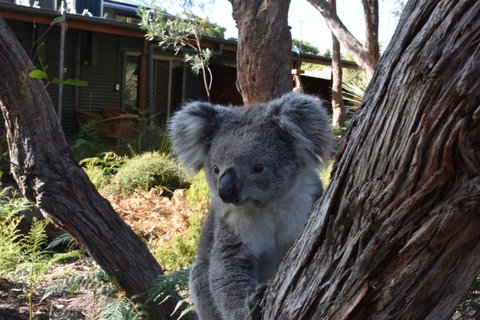 Kangaroo Island Wilderness Retreat - Stayed 6