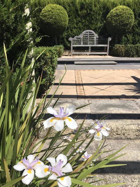 S T U D I O 22 Peaceful Retreat With Garden Views - Stayed 13