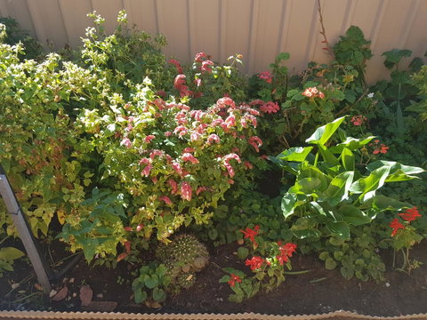 Tanunda\'s Magpie House - Stayed 24