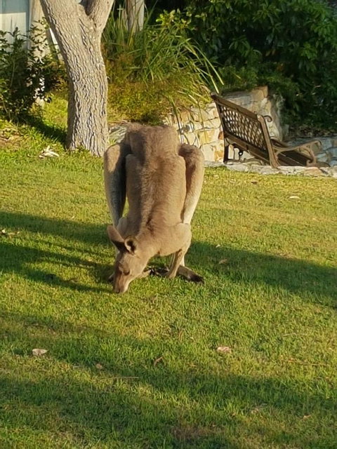 \'Point Break\' Your Waterfront Break At The Point - Stayed 12