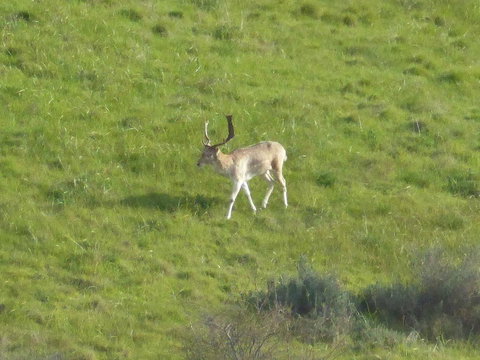 Molly's Chase - Stays Accommodation 12