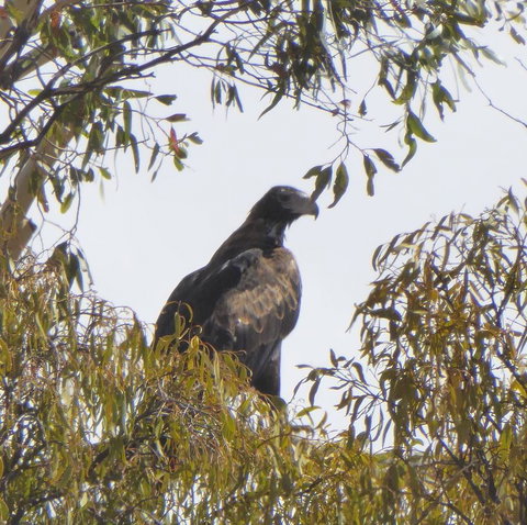 Molly's Chase - Stays Accommodation 30