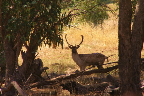 Molly's Chase - Stays Accommodation 11