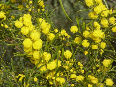 Molly's Chase - Stays Accommodation 14