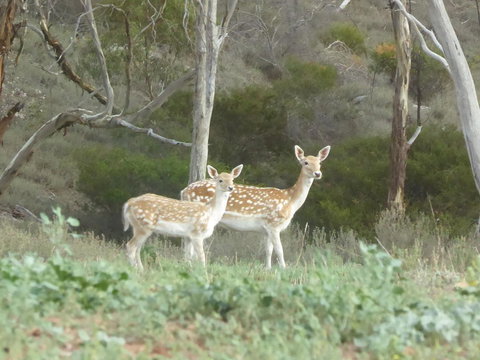 Molly's Chase - Stays Accommodation 25