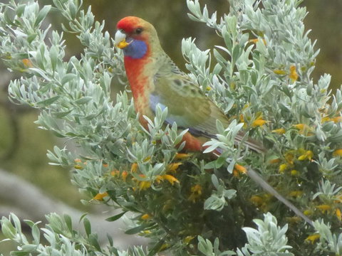 Molly's Chase - Stays Accommodation 24