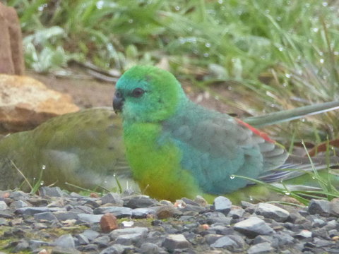 Molly's Chase - Stays Accommodation 15