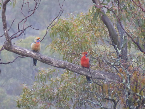 Molly's Chase - Stays Accommodation 13