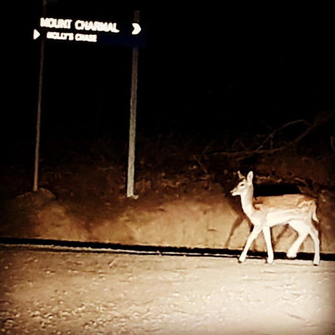 Molly's Chase - Stays Accommodation 32