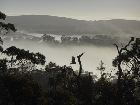 Molly's Chase - Stays Accommodation 28