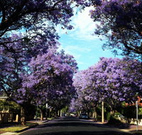 Monaco Court Apartment Adelaide - Stayed