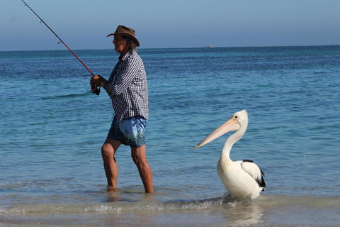 Ceduna Foreshore Caravan Park - Stays Accommodation 21