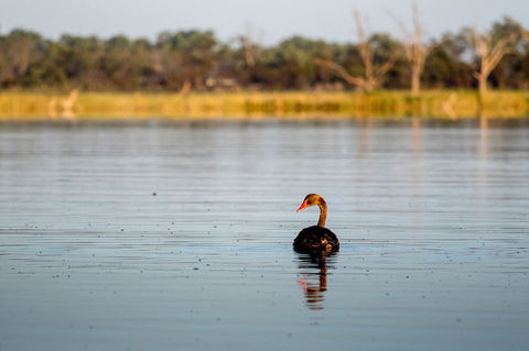 Discovery Parks - Lake Bonney - Stayed 36