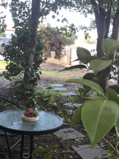 Olive\'s Cottage - Stayed 2