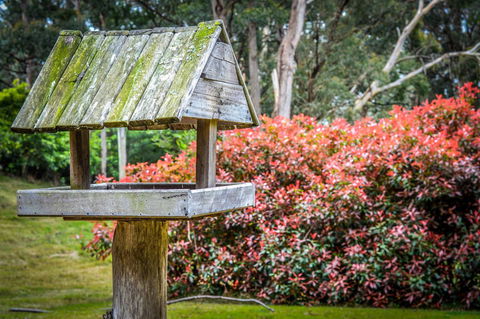 Ghost Hill Road Retreat - Stays Accommodation 17