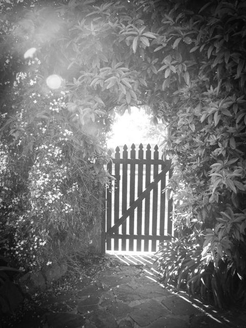 Haven Cottage Kangaroo Island - Stayed 33