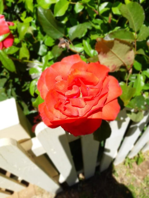 Blyth Cottage Burra - Stayed 23