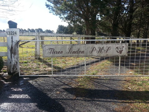 Three Linden - Stayed 6