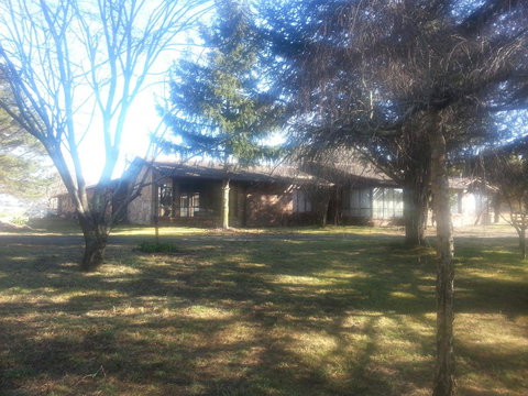 Three Linden - Stayed 5