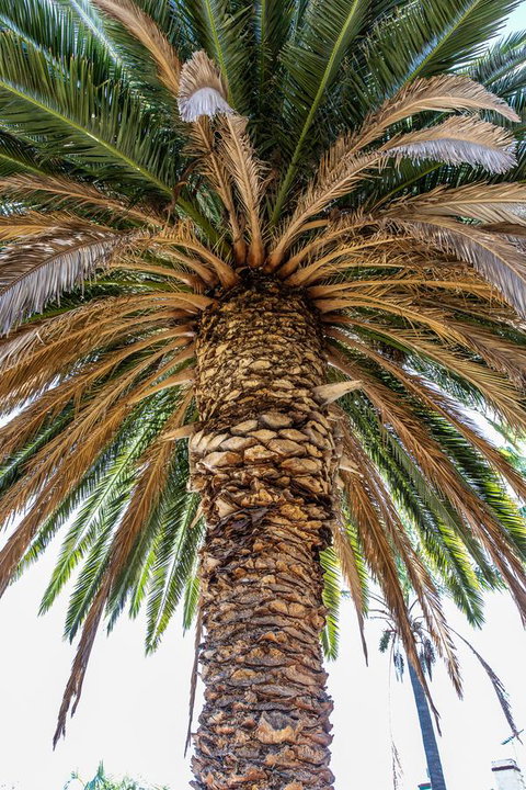 Rivergum Cottages Gawler Barossa Region - Stayed 27