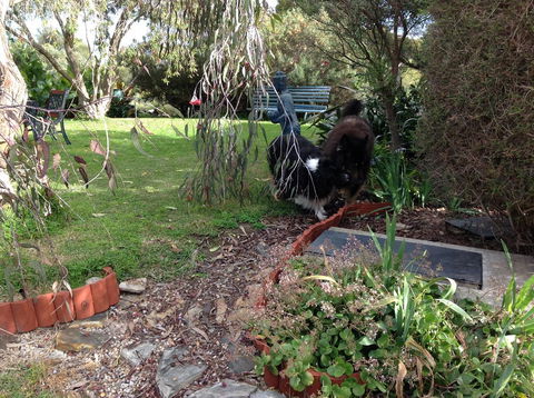 Casuarina Coastal Units - Stayed 29