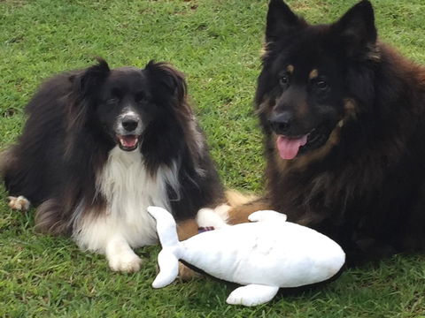 Casuarina Coastal Units - Stayed 30