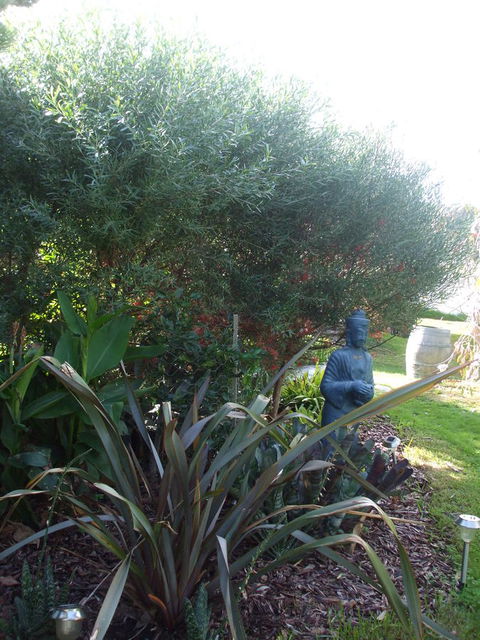 Casuarina Coastal Units - Stayed 16