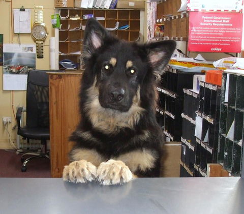 Casuarina Coastal Units - Stayed 15