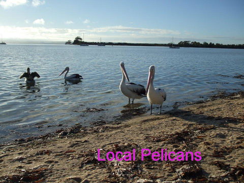 Casuarina Coastal Units - Stayed 23