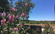 Amy\'s House Bed & Breakfast - thumb 29