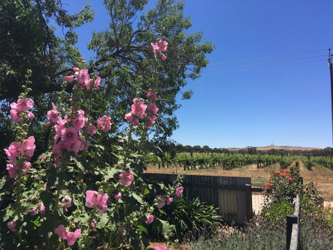 Amy\'s House Bed & Breakfast - Stayed 29