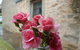 Amy\'s House Bed & Breakfast - thumb 30