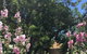 Amy\'s House Bed & Breakfast - thumb 37