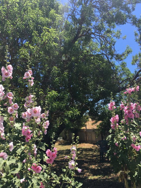 Amy\'s House Bed & Breakfast - Stayed 37