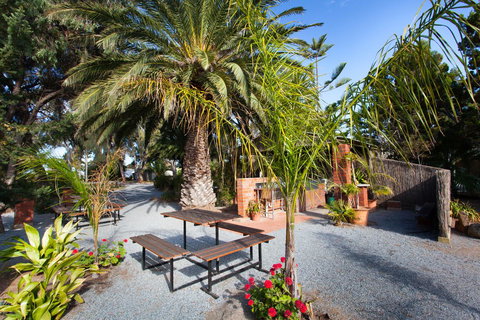 Modra\'s Apartments - Stayed 19