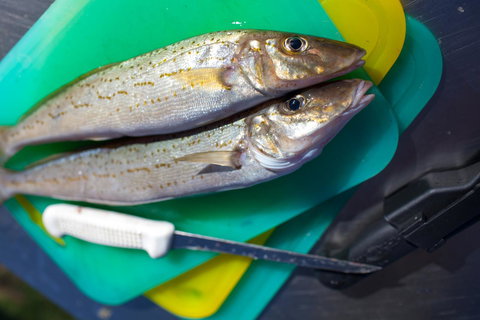 Modra\'s Apartments - Stayed 17