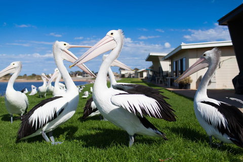 Modra\'s Apartments - Stayed 13