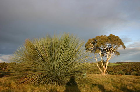 Ecopia Retreat - Stayed 23