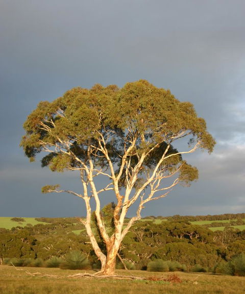 Ecopia Retreat - Stayed 24