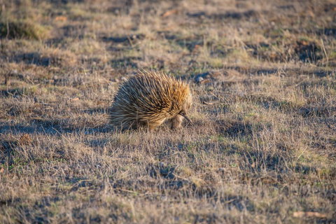 Ecopia Retreat - Stayed 7